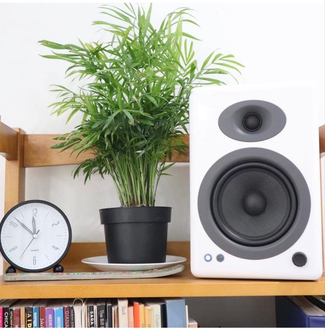 Audioengine A5+ Bluetooth ＋デスクトップスタンド　外箱