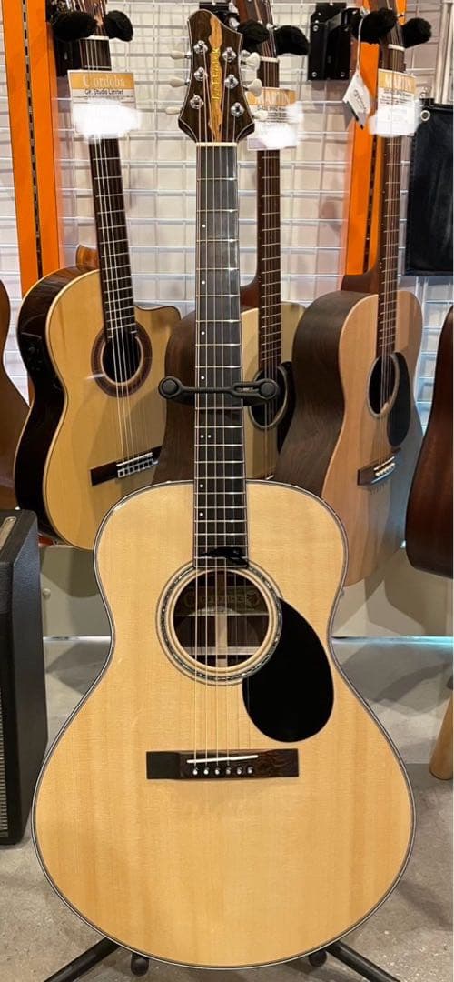 BEFFNICK ベフニック NEO 美品 アコースティックギター