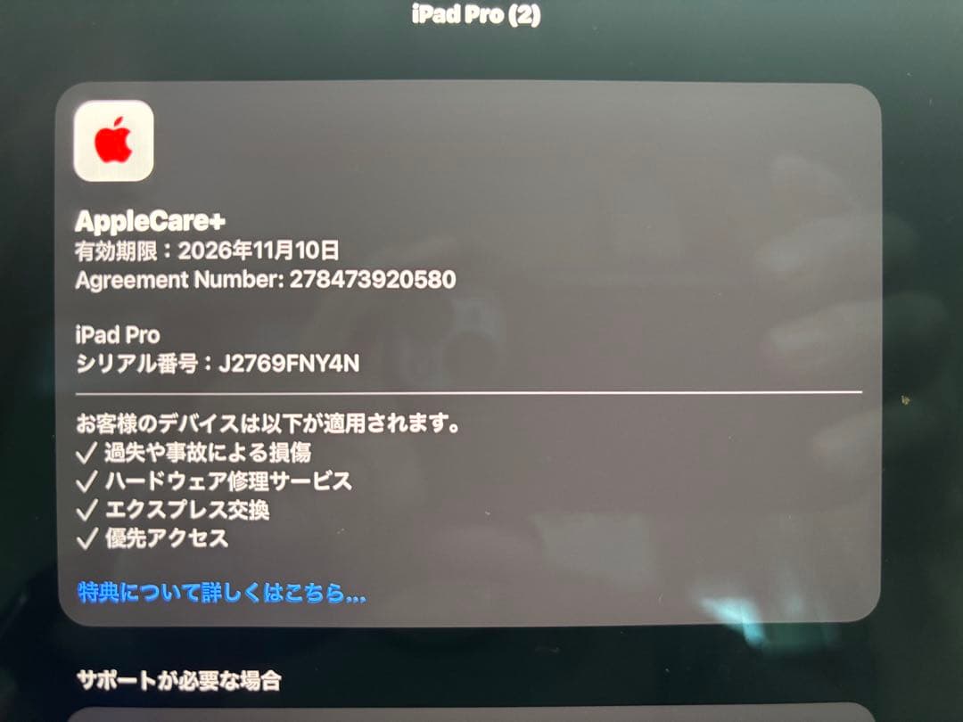 【美品】iPad Pro (M4)13インチ 1TB スペースブラック箱付き