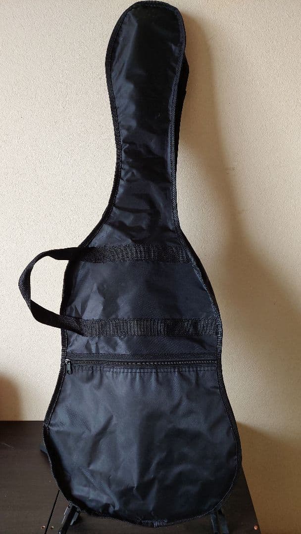 エレキギターSELDER　マットブラック　 チューナー　ケース　スタンド付き美品