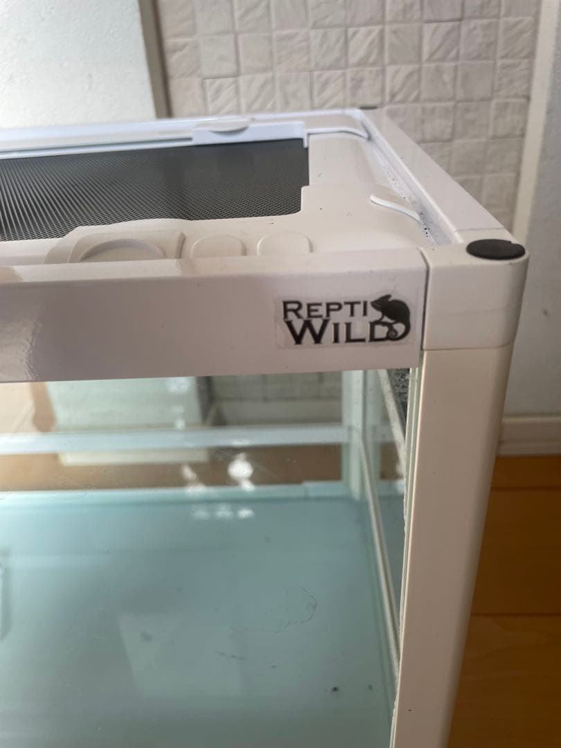 三晃商会 レプティワイルド パンテオン ホワイト WH6035