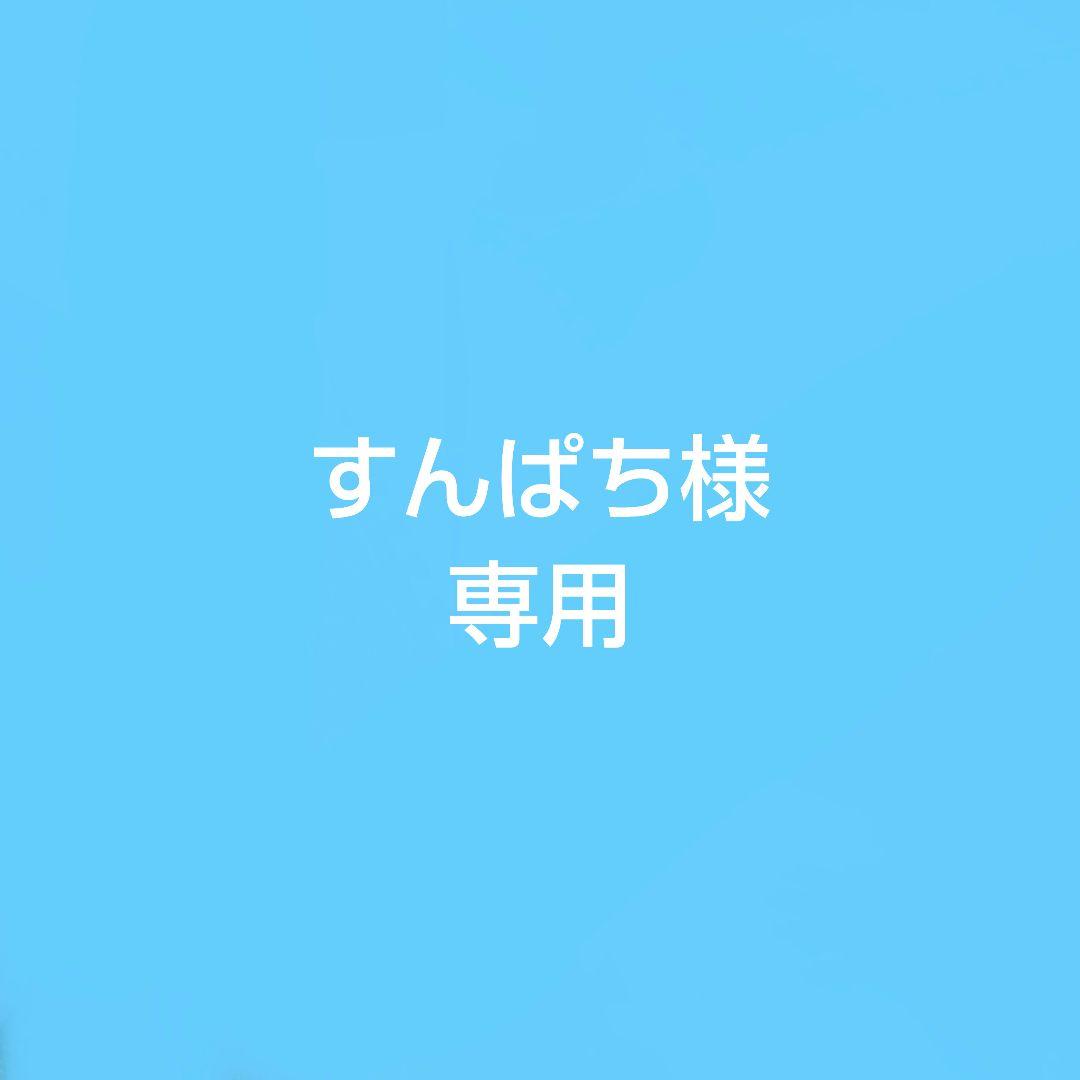 専用　ベッドフレーム シングルベッド 2口コンセント パイプ通気性 組立簡単