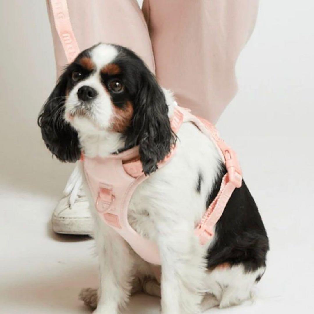 【新品】ハーネス/ピンクMサイズ/max-bone/ラグジュアリーブランド