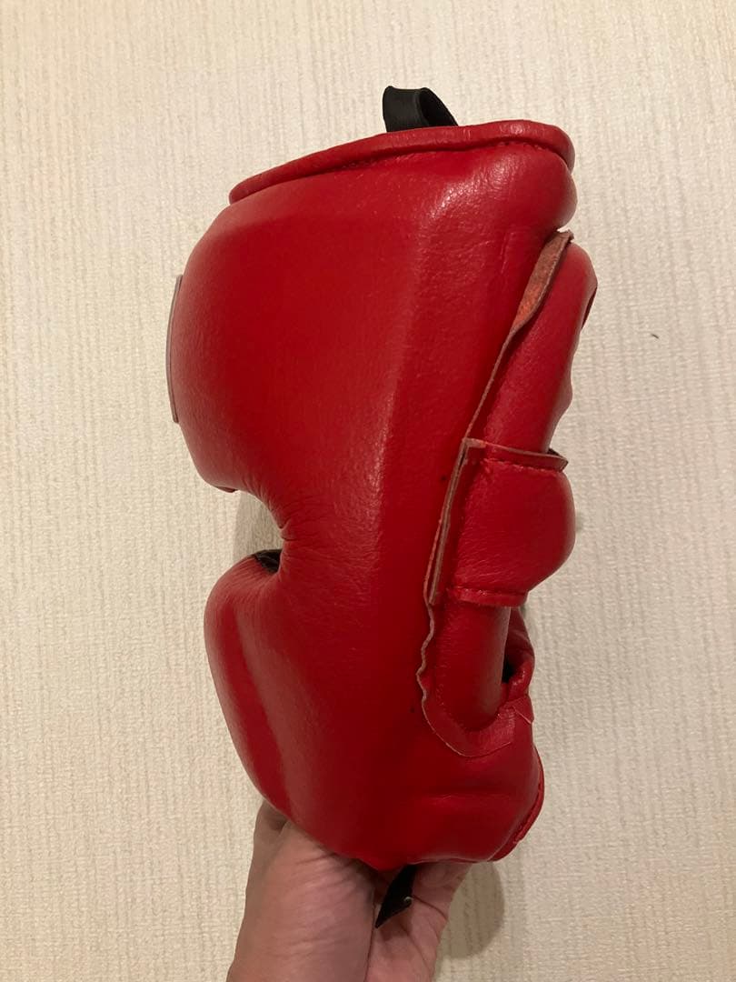 Winning ヘッドギア フルフェイスタイプ レッドL FG-2900