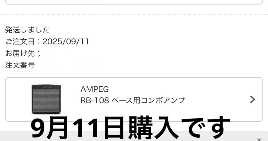 【美品】Ampeg Rocket Bass RB-108 ベース用アンプ