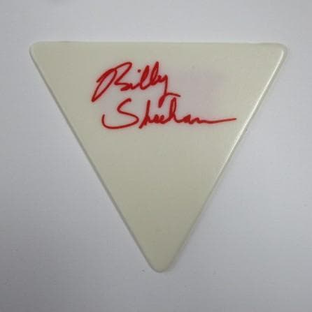 SLAYER ケリーキング Kerry King ESP ギターピック