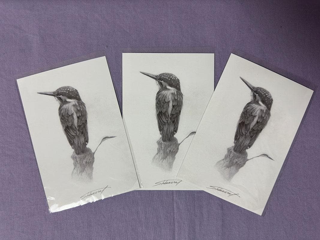 鉛筆アート「カワセミ」真筆、1点物