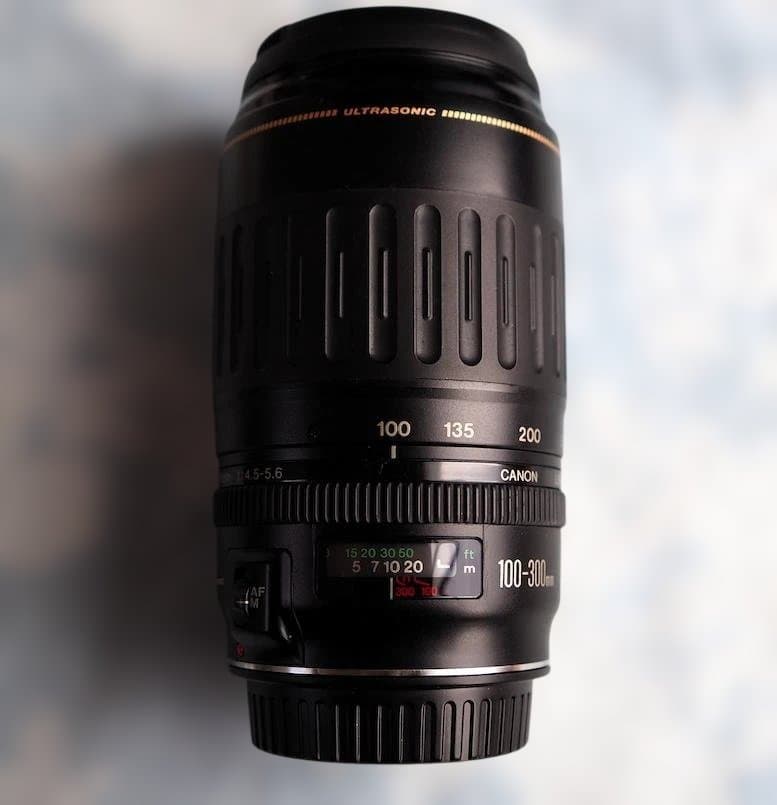 Canon EF100-300mm f/4.5-5.6 ズームレンズ