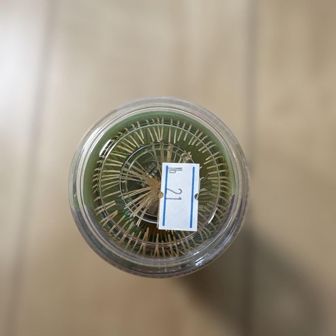 【‼️本日限定価格‼️】高山茶筌　竹茗堂/真