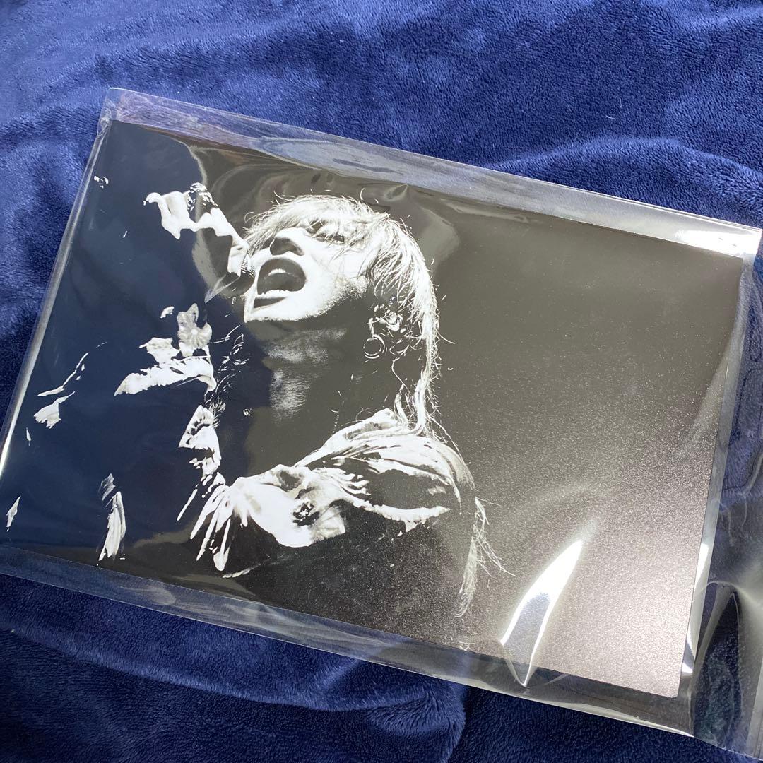 SUPER BEAVER 渋谷龍太 パネル ZOZOマリンスタジアム