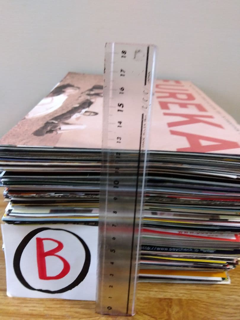 映画チラシ（フライヤー）セット【Ｂ】