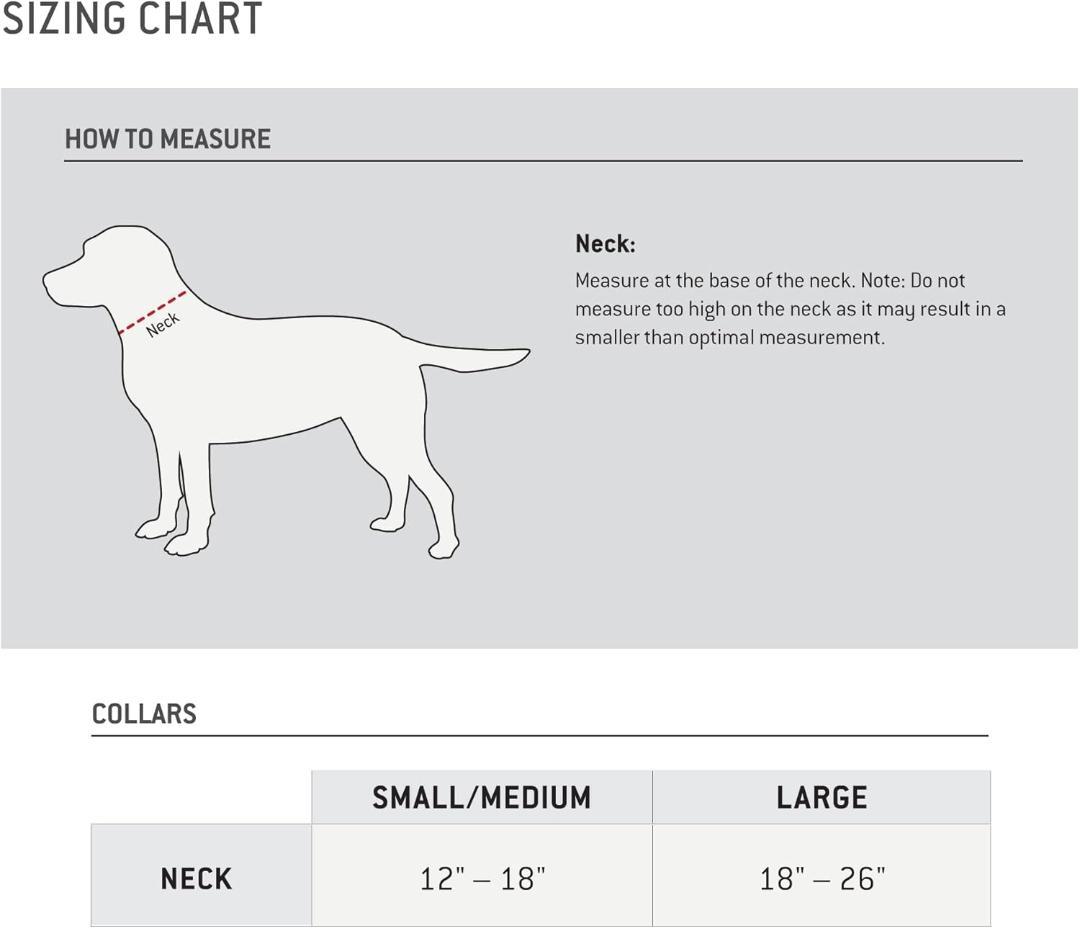 【NEW】Carhartt カーハート 犬用リーシュ(L)＆首輪(M)セット 茶