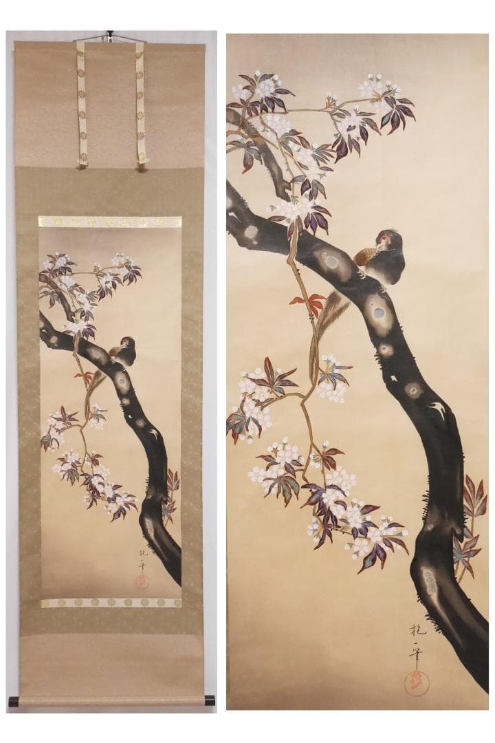 酒井抱一筆【四季花鳥図　4幅セット　桜・燕子花・秋草・芦】二重箱入高級復刻画掛軸