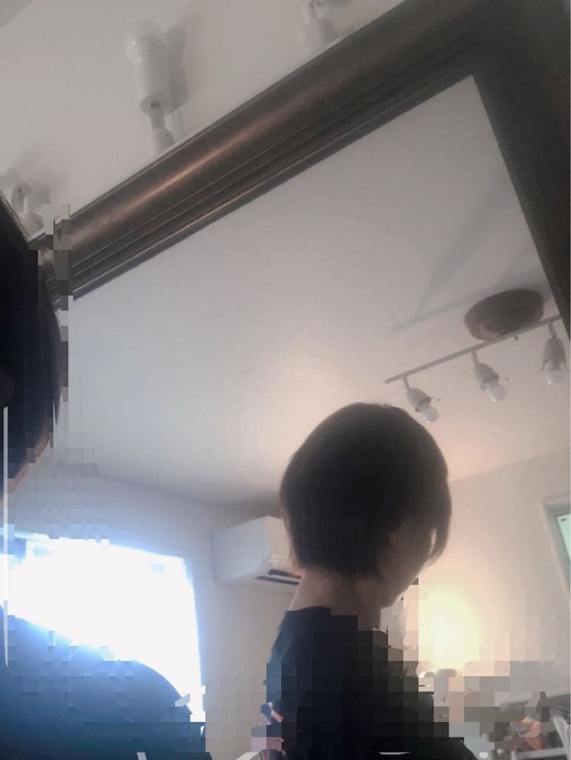 人気の　人毛ショートウィッグ ブラウン系　未使用