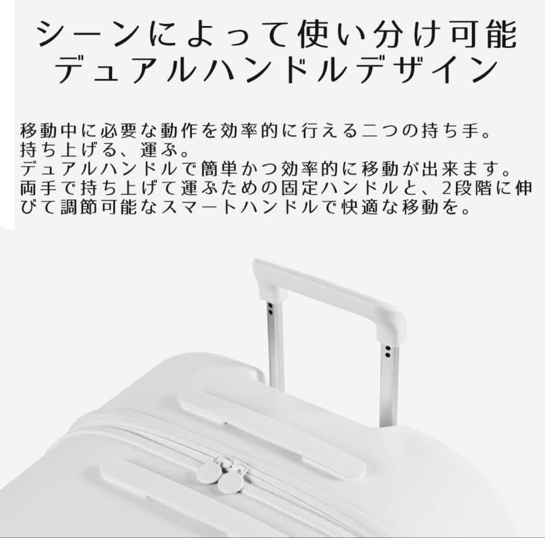 pidan ペットキャリーバッグ ホワイト