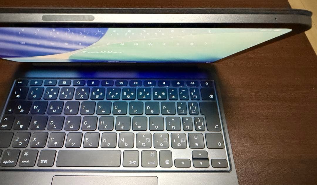 iPad Pro 11インチ（M4） Wi-Fi + Cellularモデル