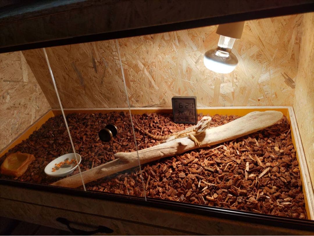 爬虫類ケージ　見本ページ