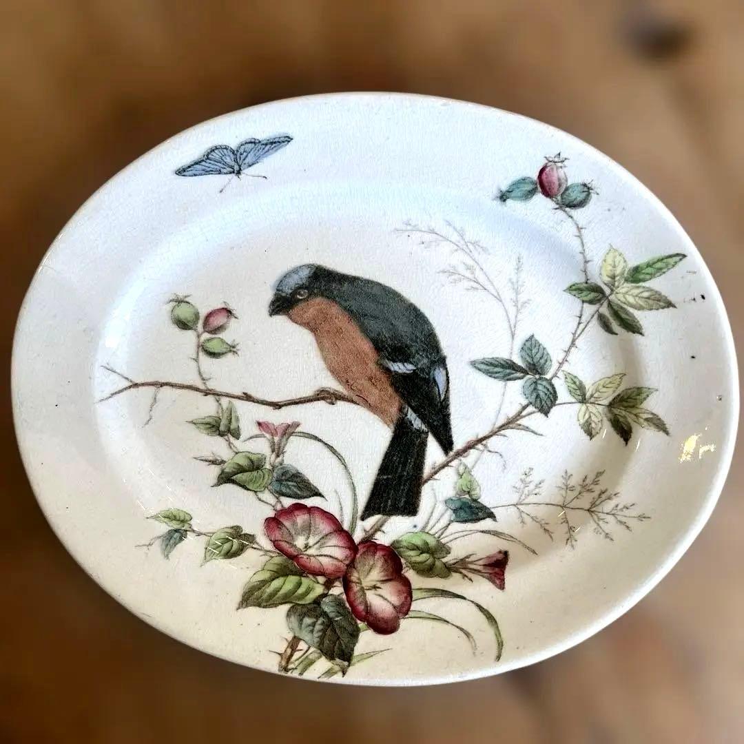 アンティーク　ジョン・モードロック・ロビン・プレート1800年代後半コレクター