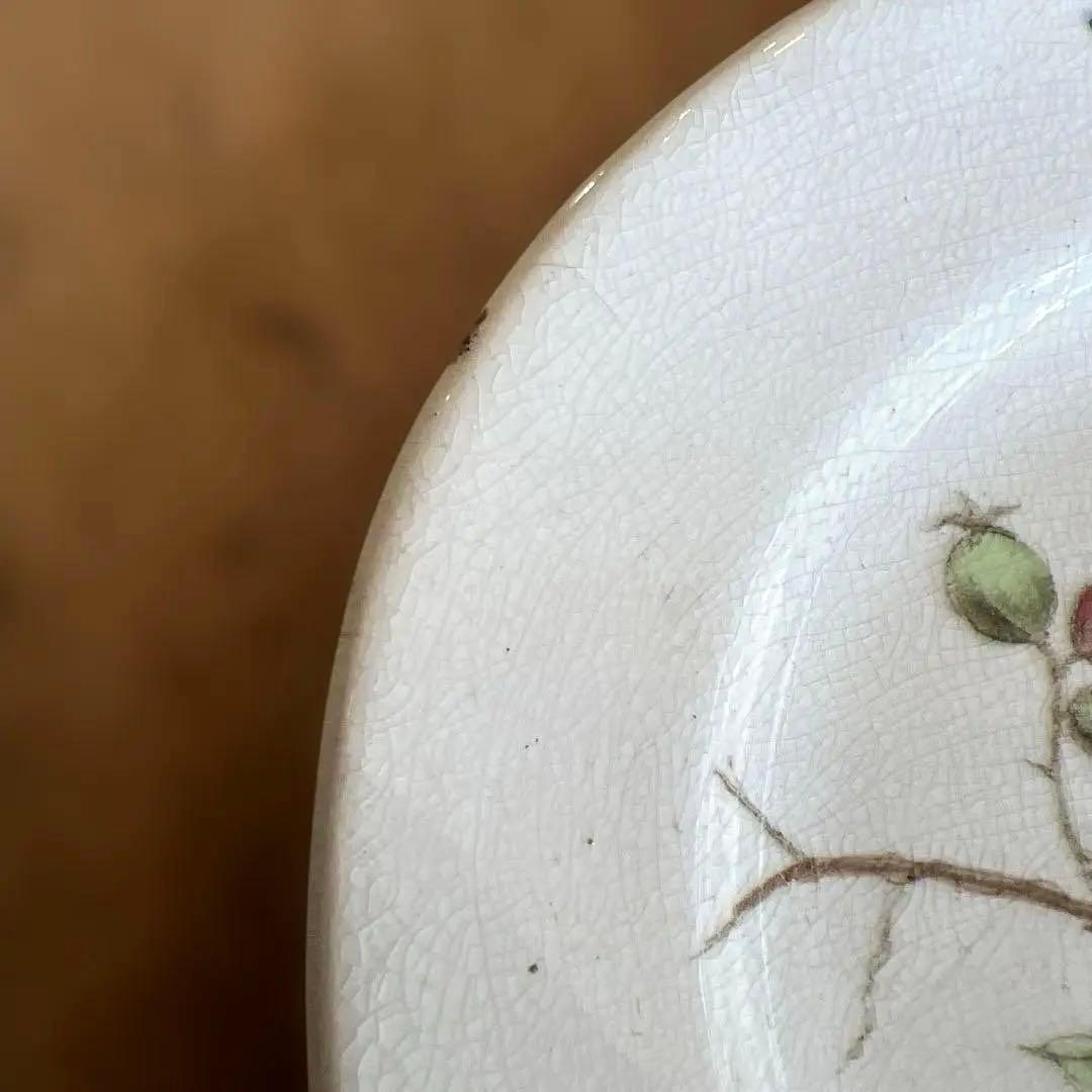 アンティーク　ジョン・モードロック・ロビン・プレート1800年代後半コレクター