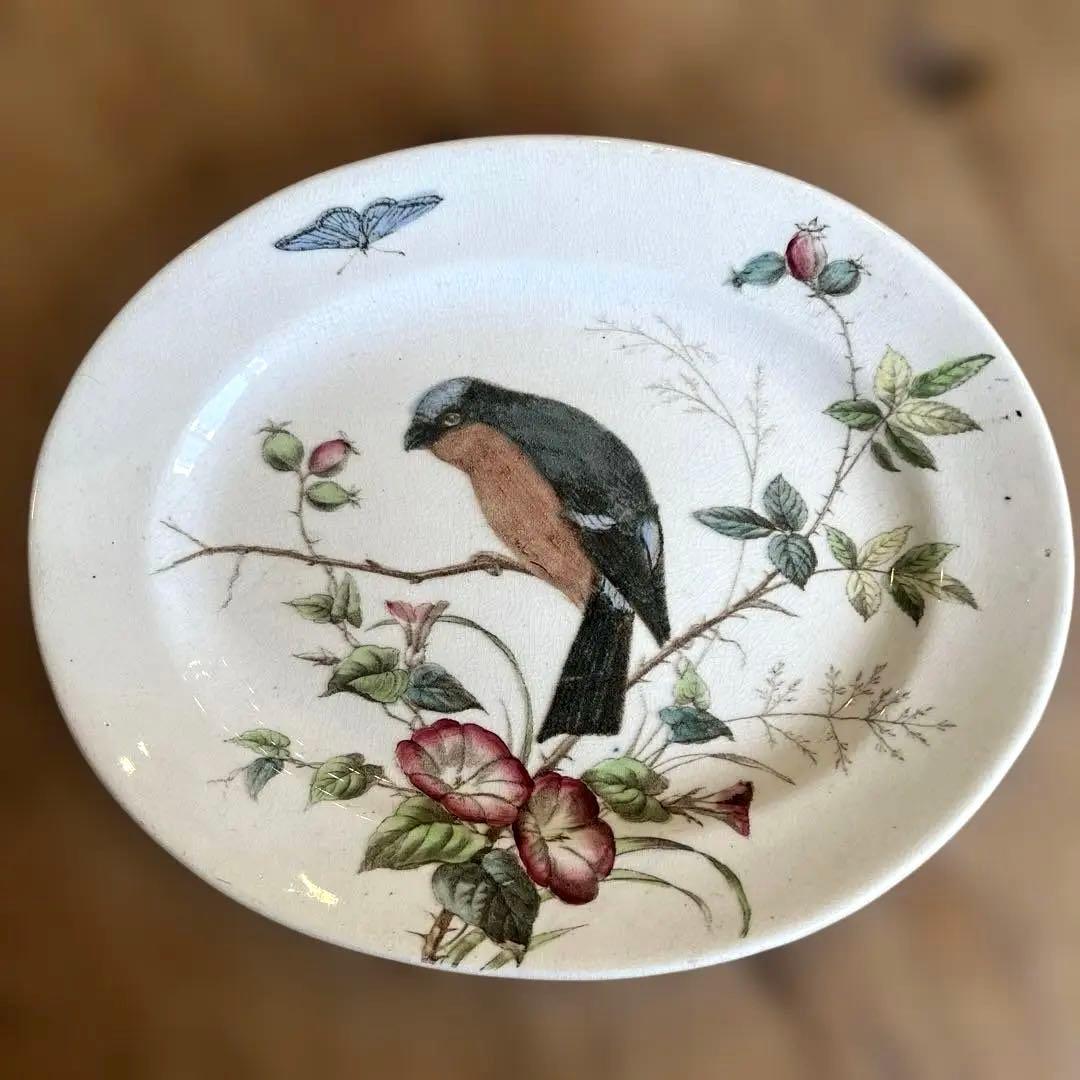 アンティーク　ジョン・モードロック・ロビン・プレート1800年代後半コレクター