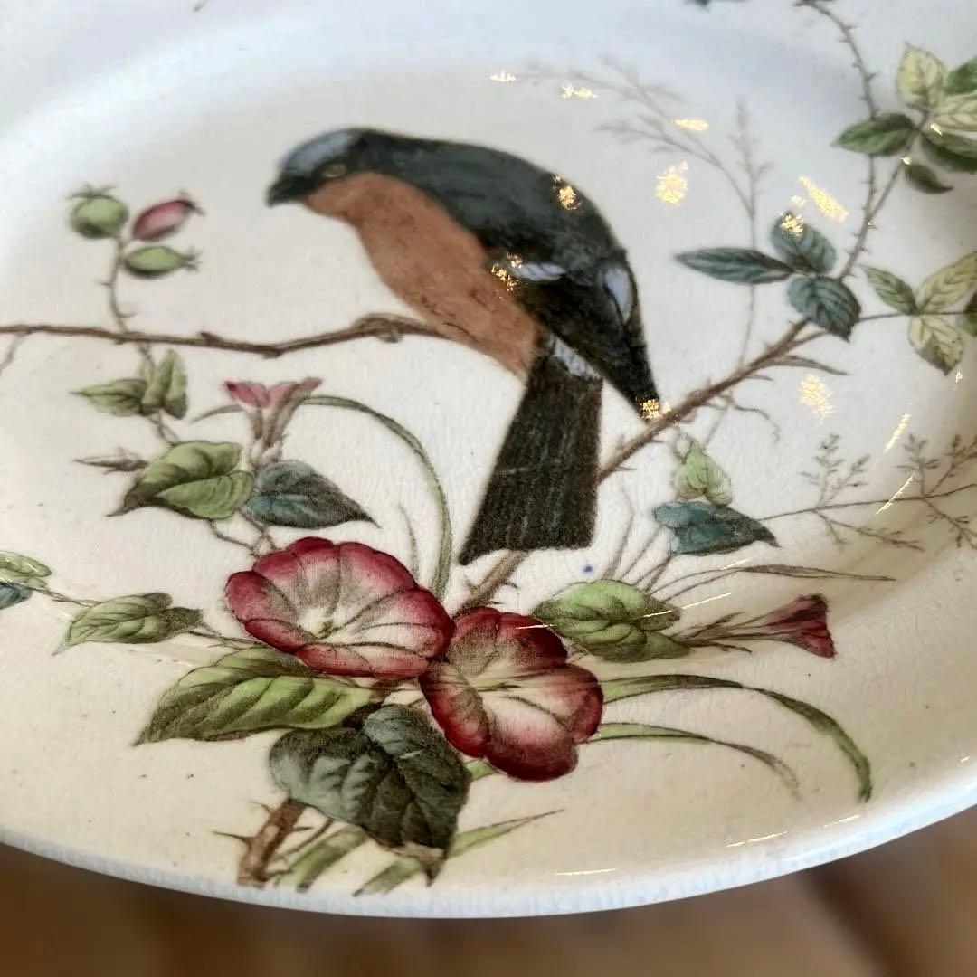 アンティーク　ジョン・モードロック・ロビン・プレート1800年代後半コレクター