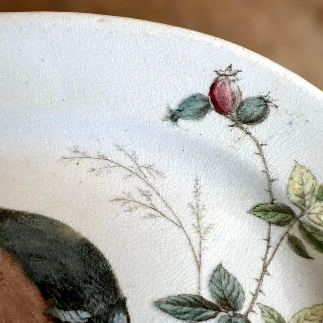 アンティーク　ジョン・モードロック・ロビン・プレート1800年代後半コレクター