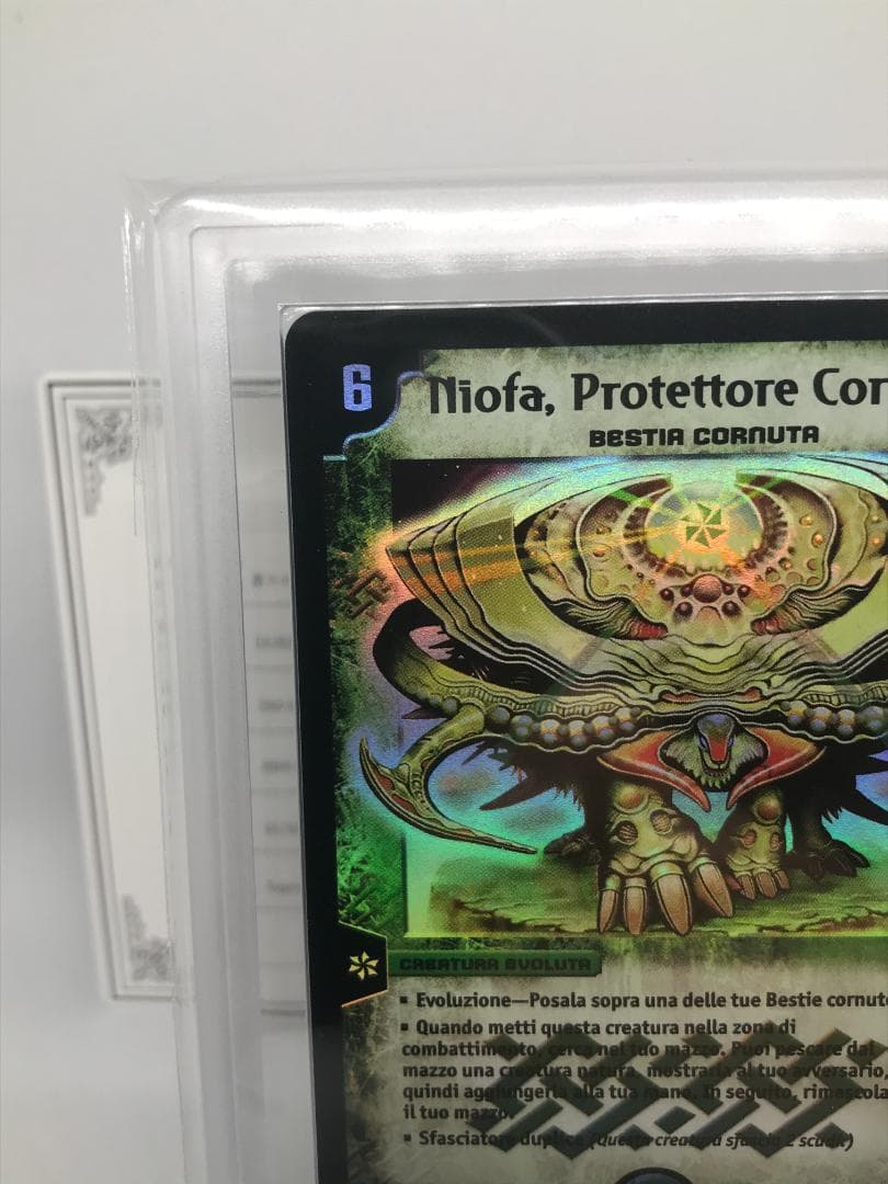 【ARS10+】護りの角フィオナ イタリア語 鑑定書付【PSA/ARS鑑定品】