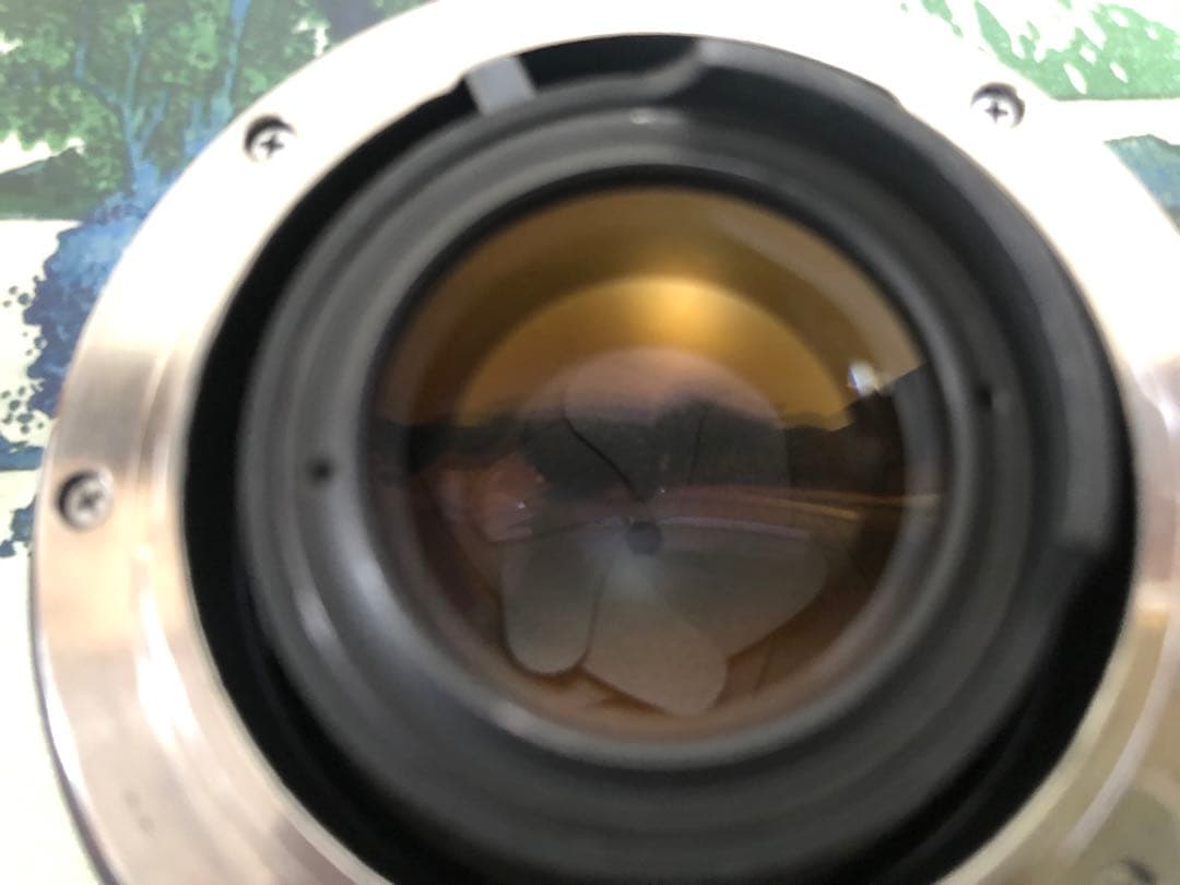 ライカ 50mm f/2 Summicron-R [Nikonマウント]