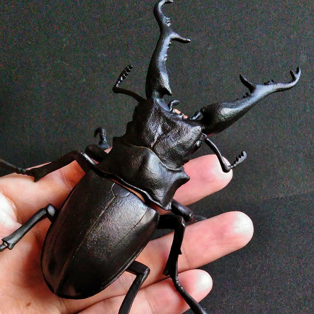 昆虫　フィギア　クワガタ　原寸大モデル
