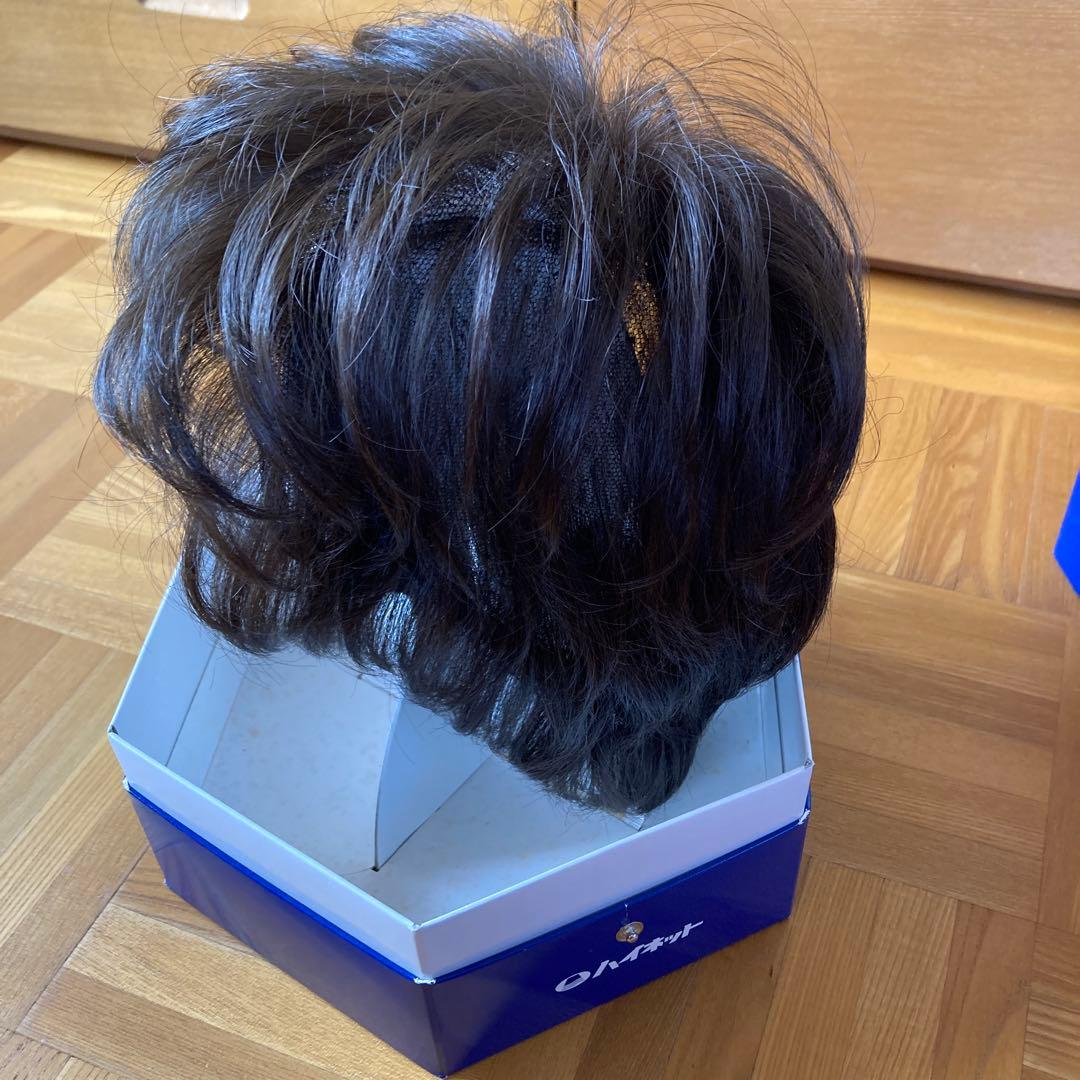 定価16万円以上　ハイネットウィッグ