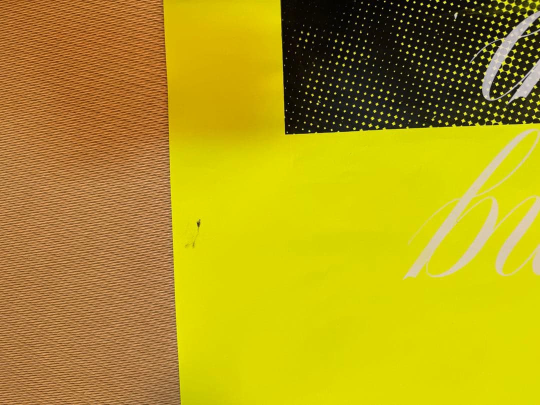 Do Nothing Congress ポスター 手刷り 藤原ヒロシ