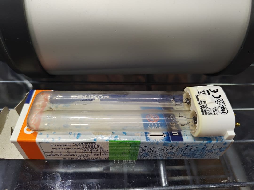 水耕栽培 セット（生体にも）