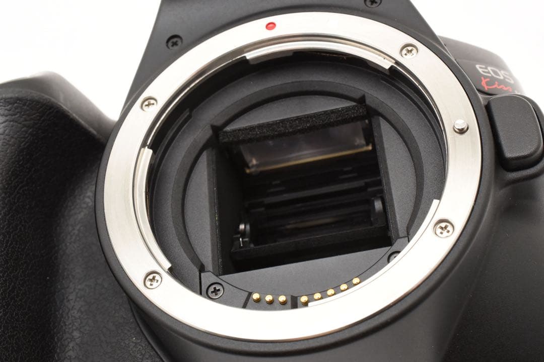 canon kiss x10望遠レンズセット/ Canon 100-300mm