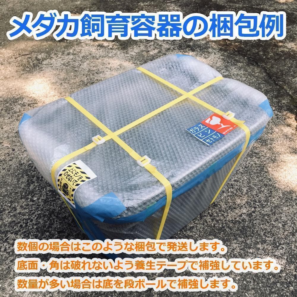 メダカ飼育ケース 36㍑x5個（4色あり） オーバーフロー対策済 金魚飼育容器