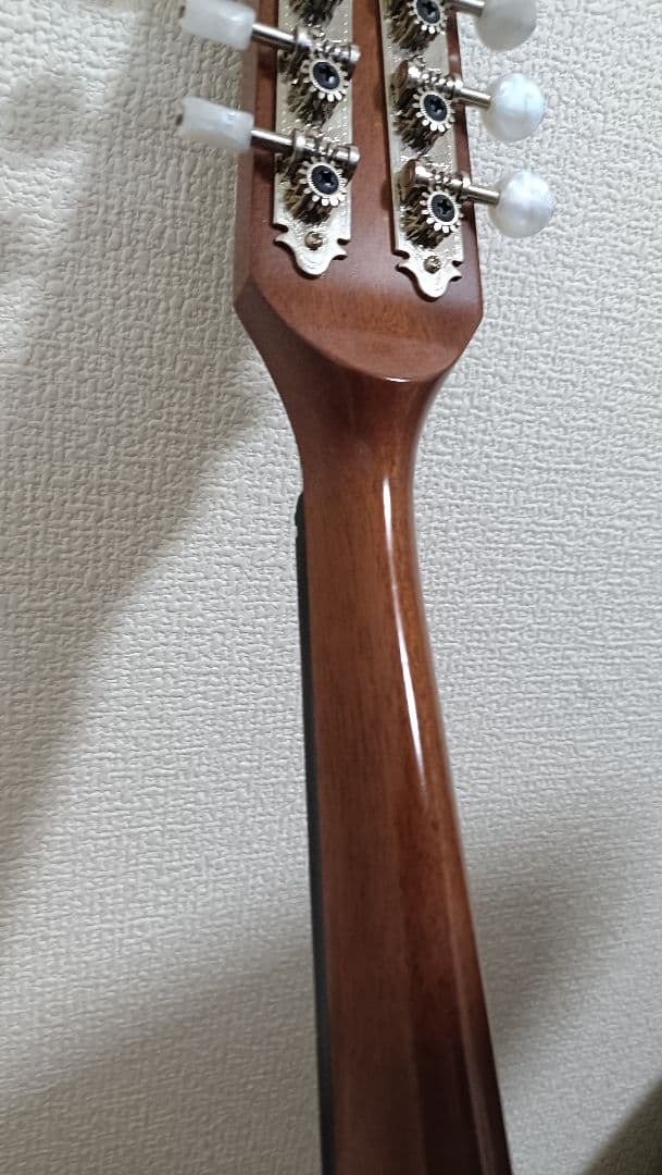 マンドリン 藤丸常夫 美品 No.80B