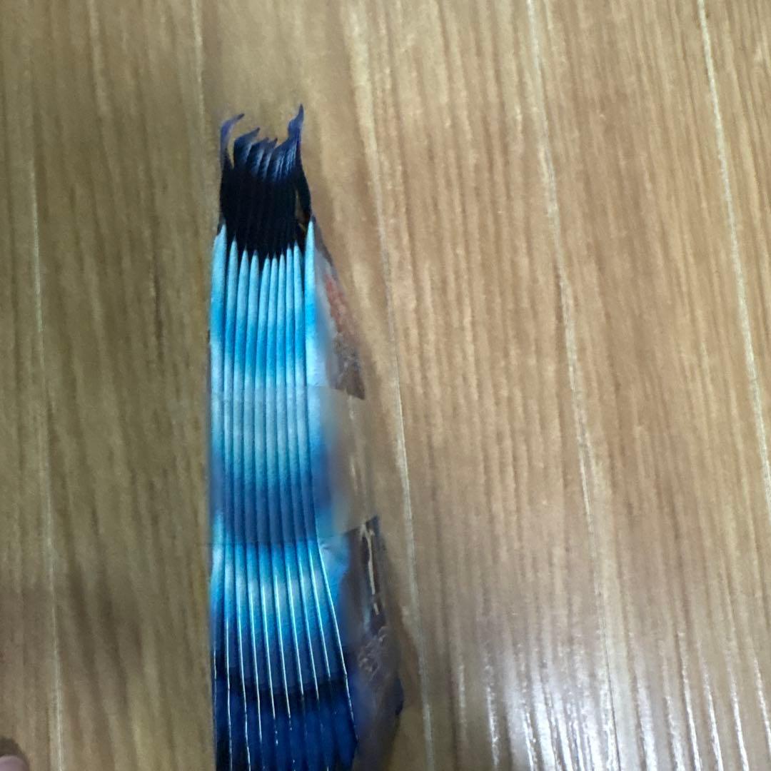 遊戯王OCG ダークセレモニーエディション