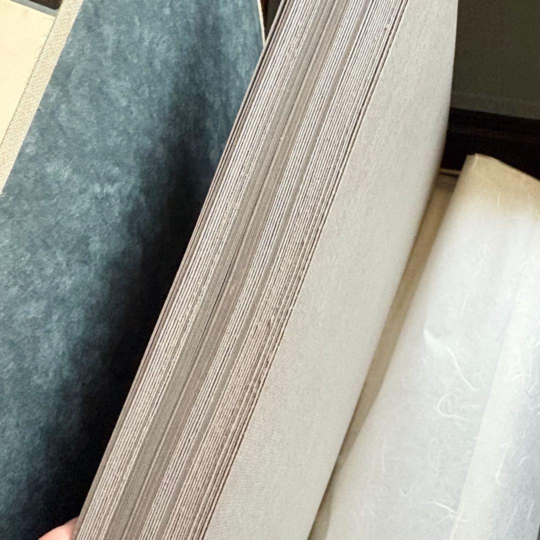 富岡鉄斎 贈君百扇 高島屋史料館蔵 小学館版 限定 定価148000円 画集