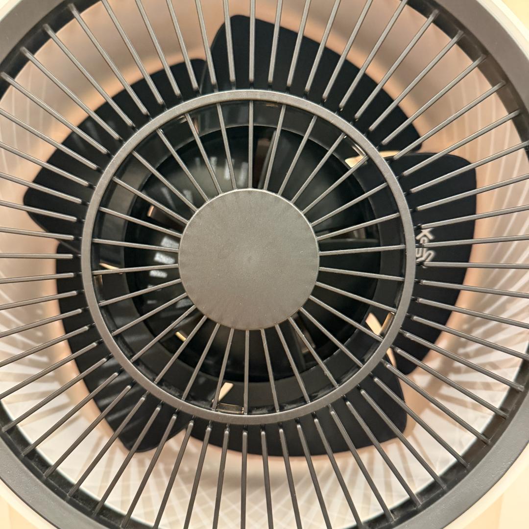 BALMUDA サーキュレーター GreenFan C2 バルミューダ