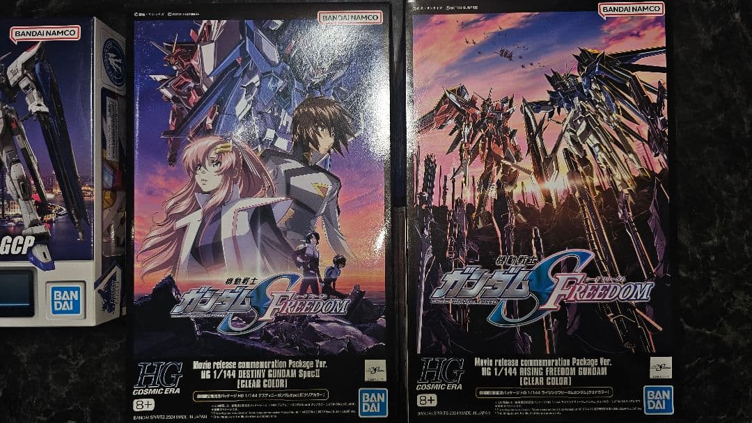 RG フリーダムVer.GCP HGCE デスティニー、ライフリ　まとめ売り