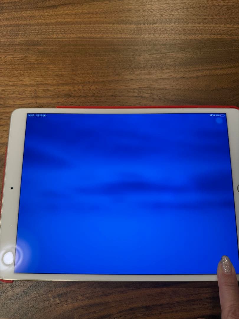 Apple iPad pro 10.5インチ 256GBゴールド 本体