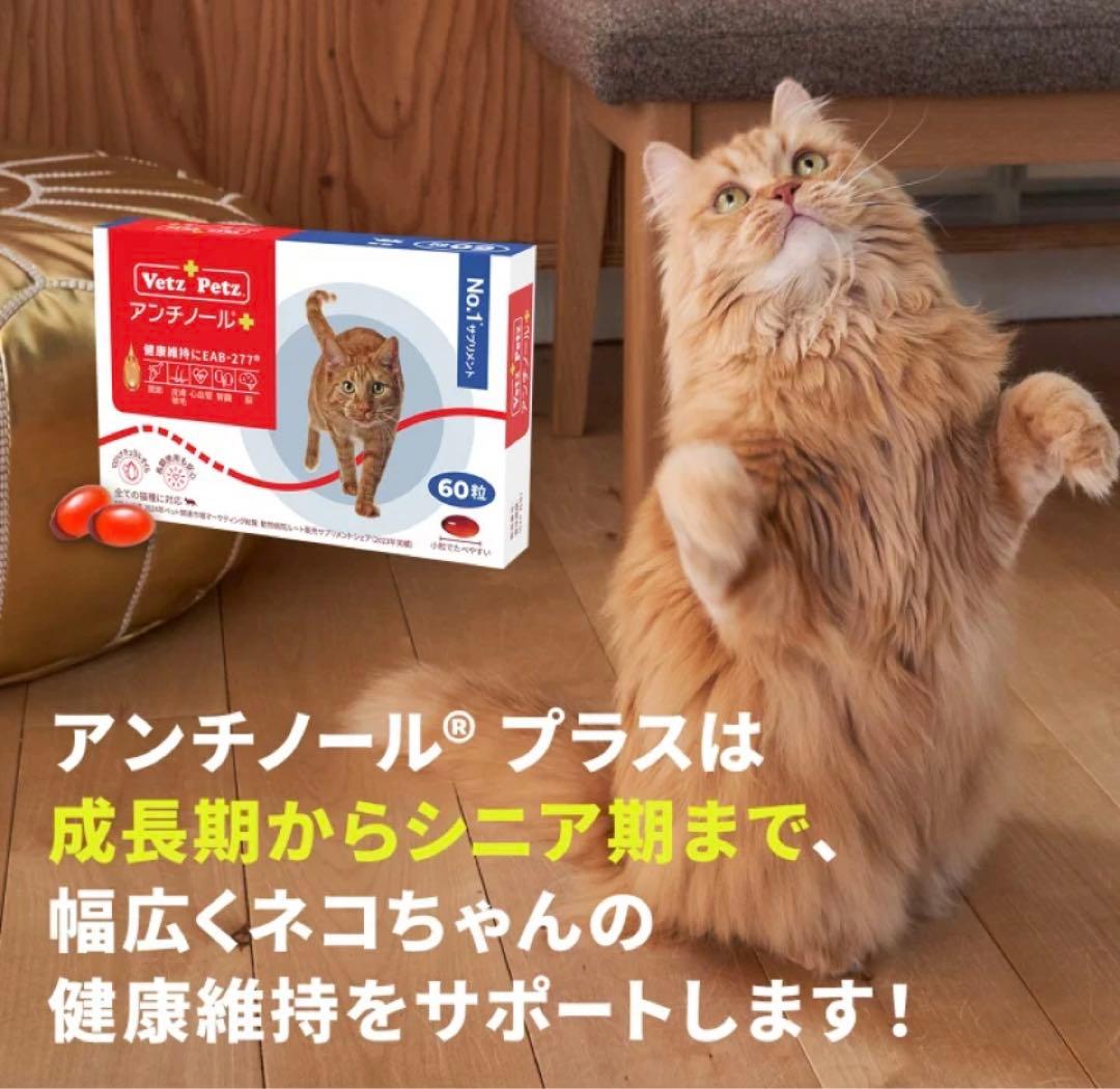 ★新品未開封★VetzPetzアンチノールプラス90粒☆わんちゃんもOK!