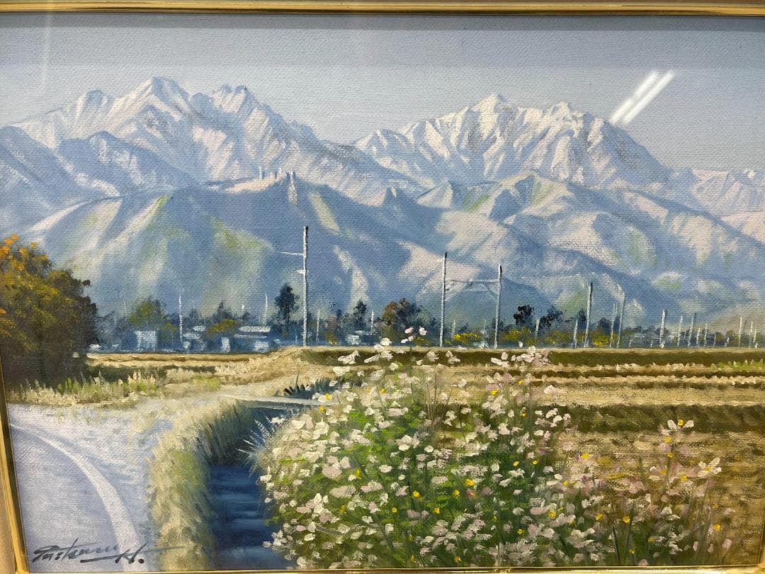 半澤満 油彩画 秋桜と北アルプス サイン在 F4号 額装 油絵 風景画 絵画