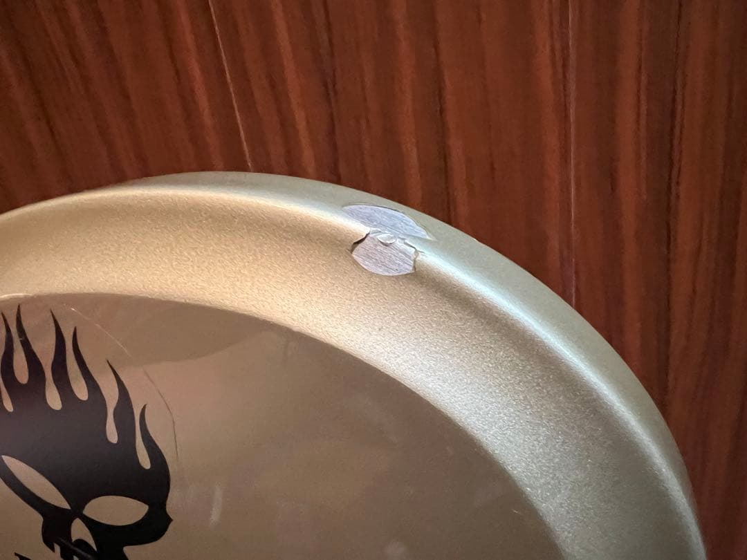 TOKAI Talbo 東海楽器タルボ アルミギター glay hisashi