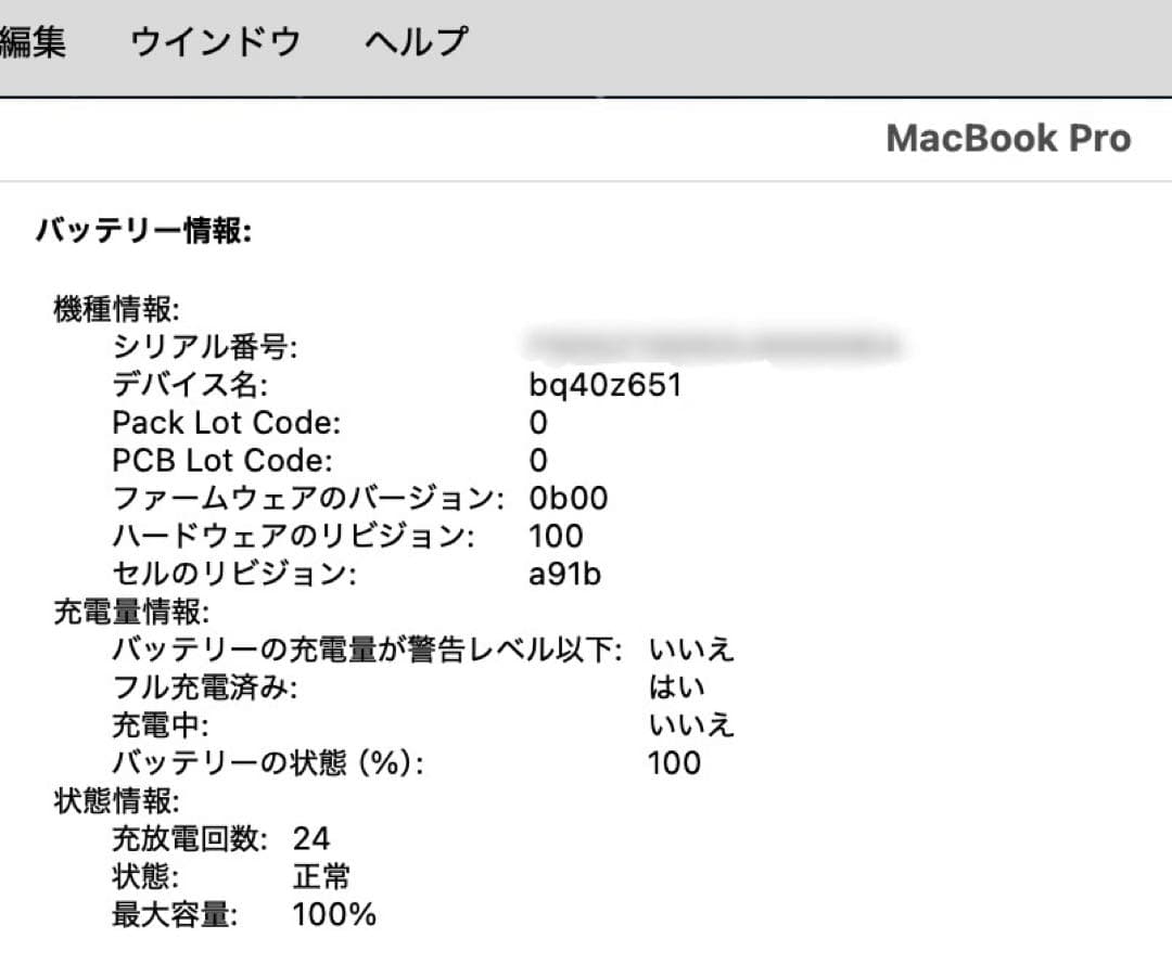 美品 M3 Pro MacBook Pro 16インチ 36GB/512GB
