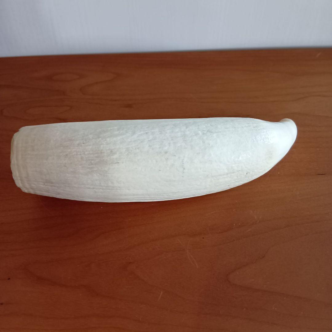 マッコウクジラ　歯　16cm　287g　印材　根付　工芸品　美品