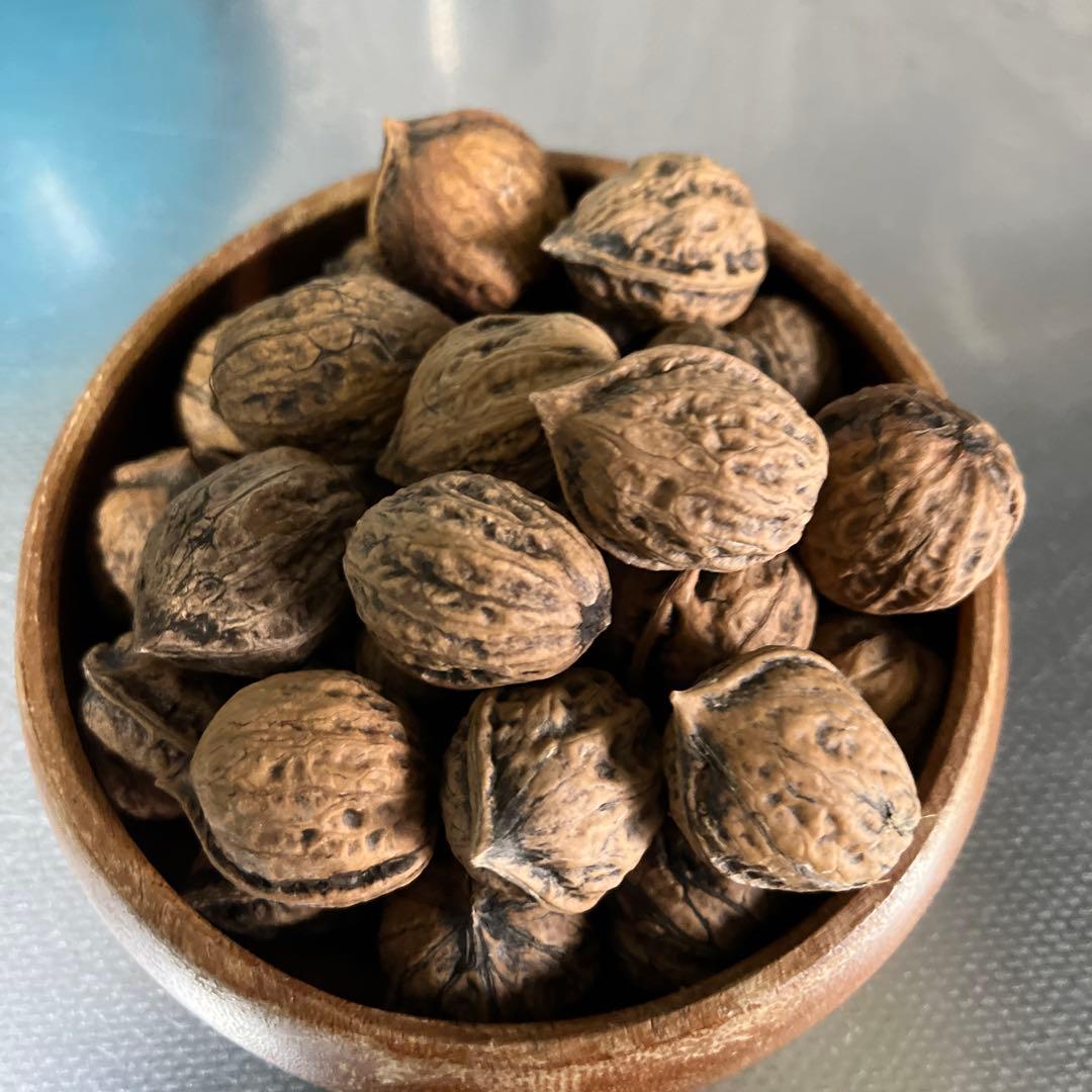 ￼ジャンボ松ぼっくり　その他