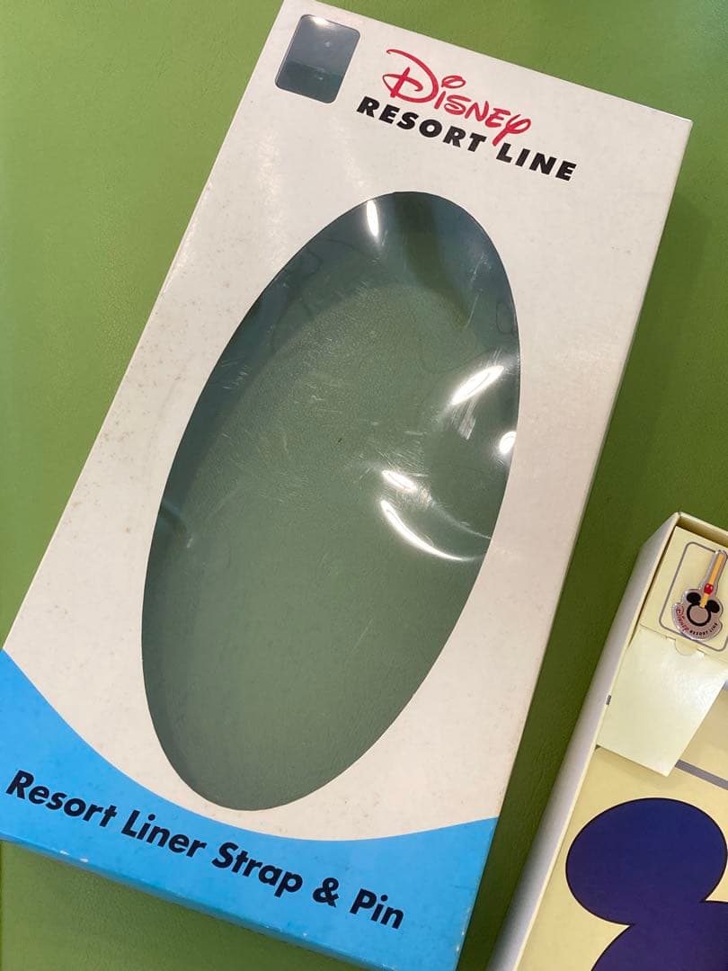 レア　TDR ディズニー リゾートライン リゾートライナー　つり革 ピンバッジ