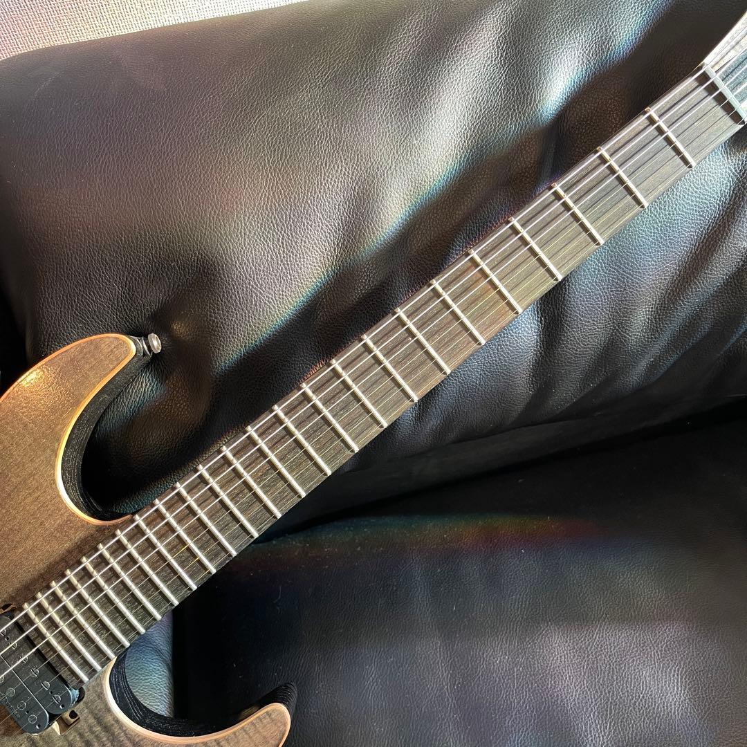 EDWARDS E-M-Ⅱ Custom smoky BK