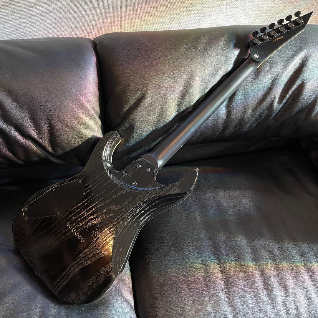 EDWARDS E-M-Ⅱ Custom smoky BK