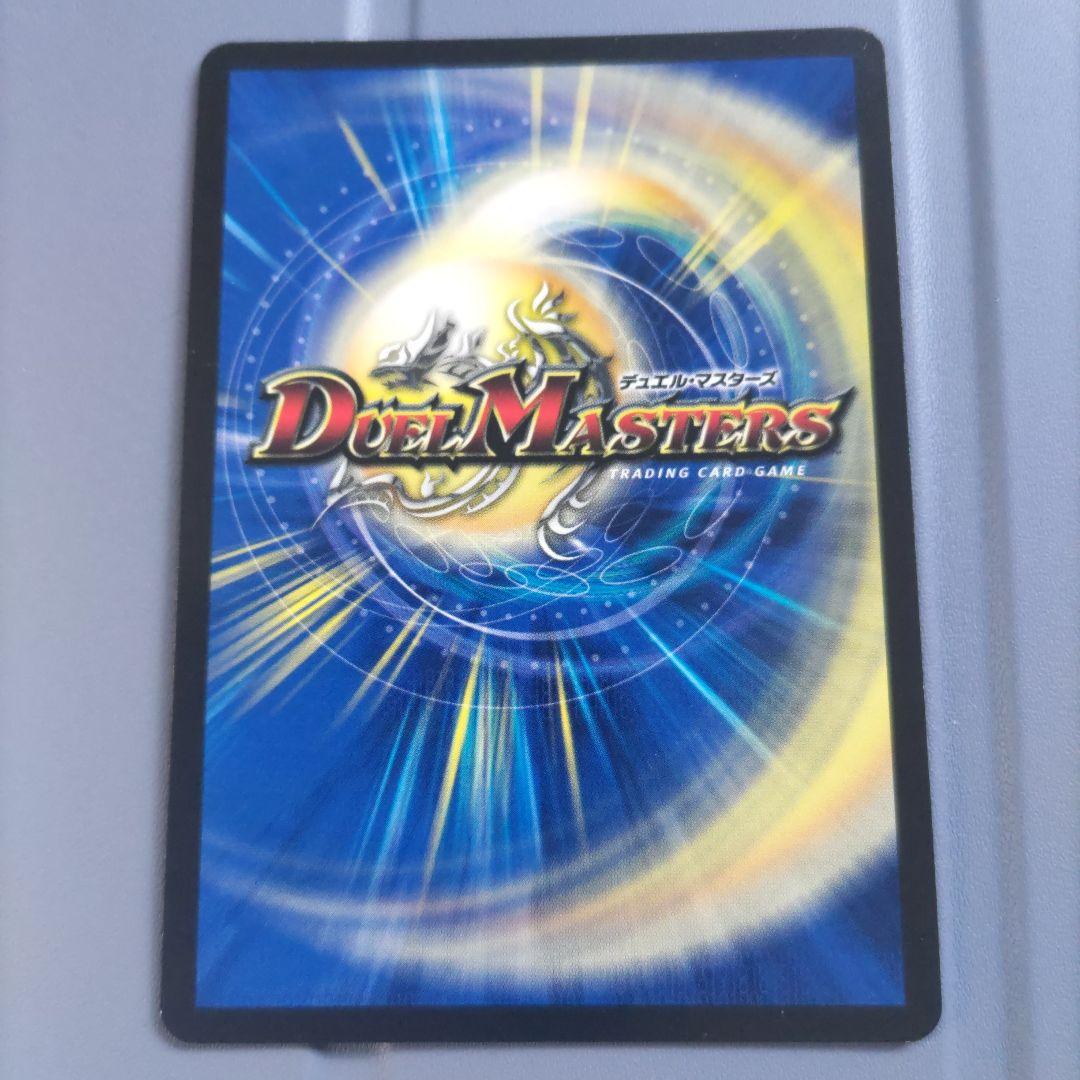 煌龍 サッヴァーク & サッヴァークDG